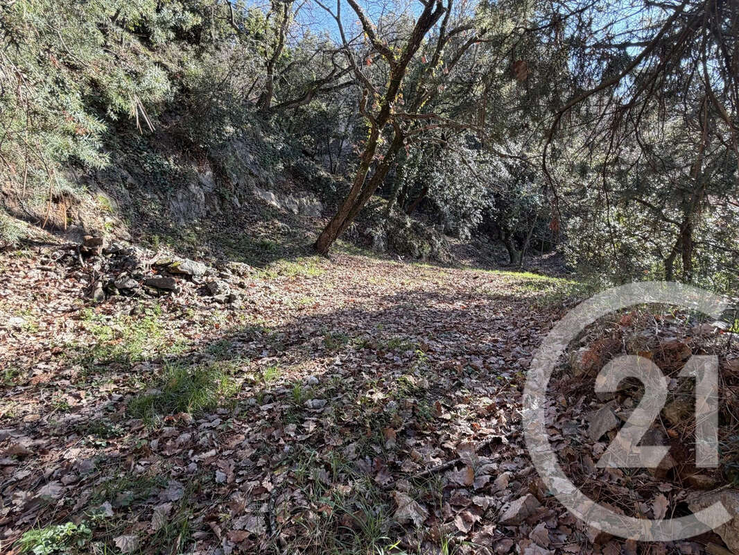 Terrain à ASPREMONT