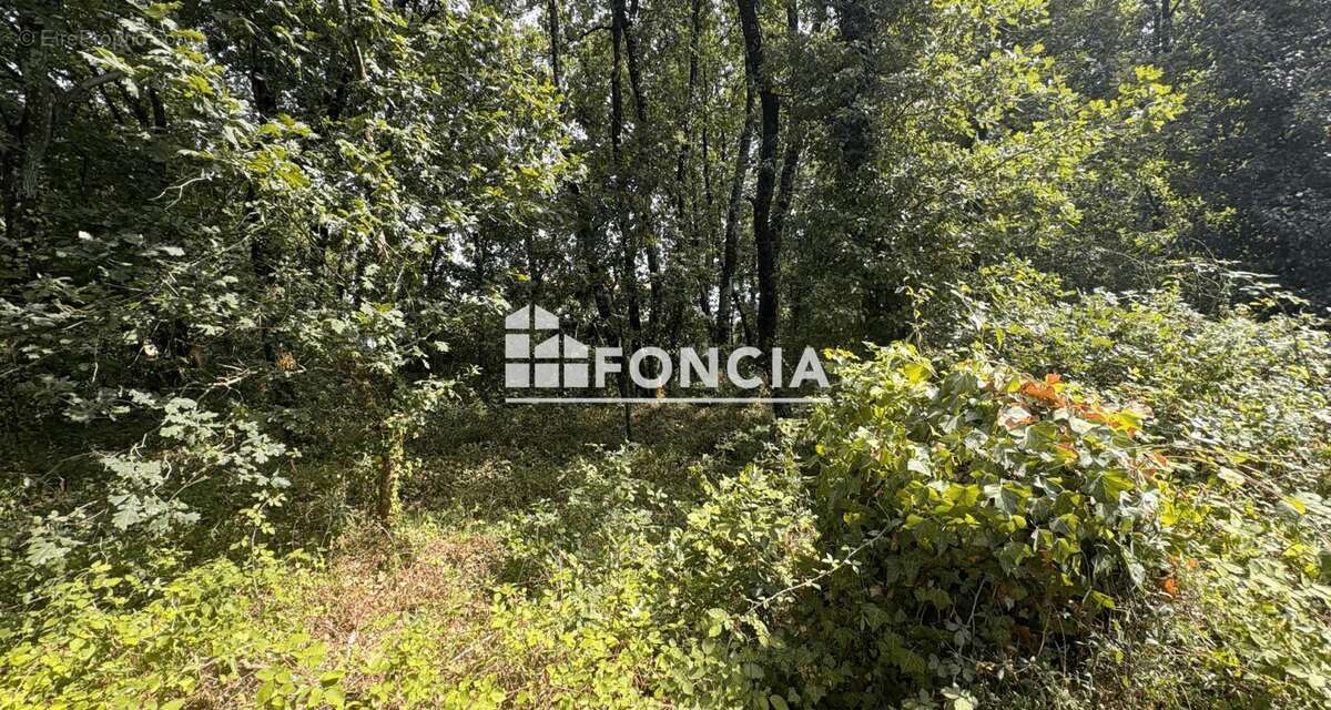 ALERTE PROMOTEURS – Opportunité foncière à Étaules - photo 3