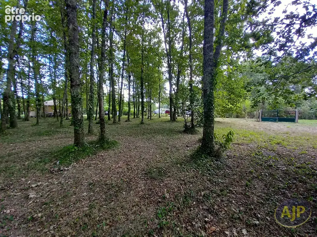 Terrain à bâtir de 933 m² à 5 min de Lesparre - photo 2