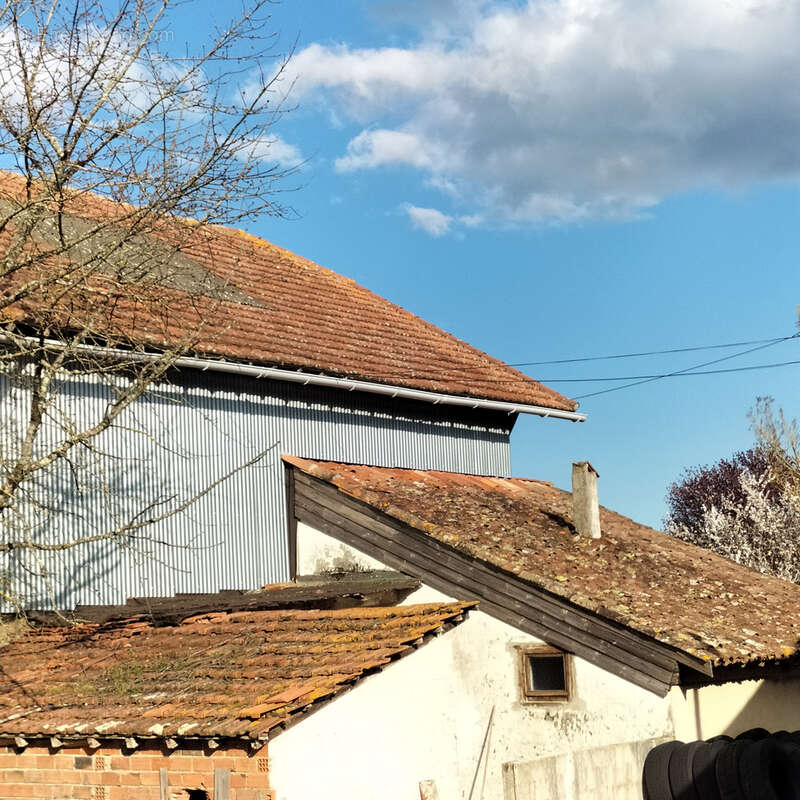 Maison principal au calme avec 4 Gîtes et piscine, vue - photo 56