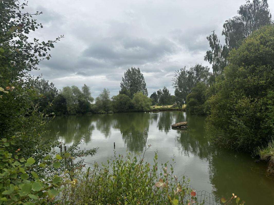 Terrain à SAINT-CYR-LA-ROSIERE