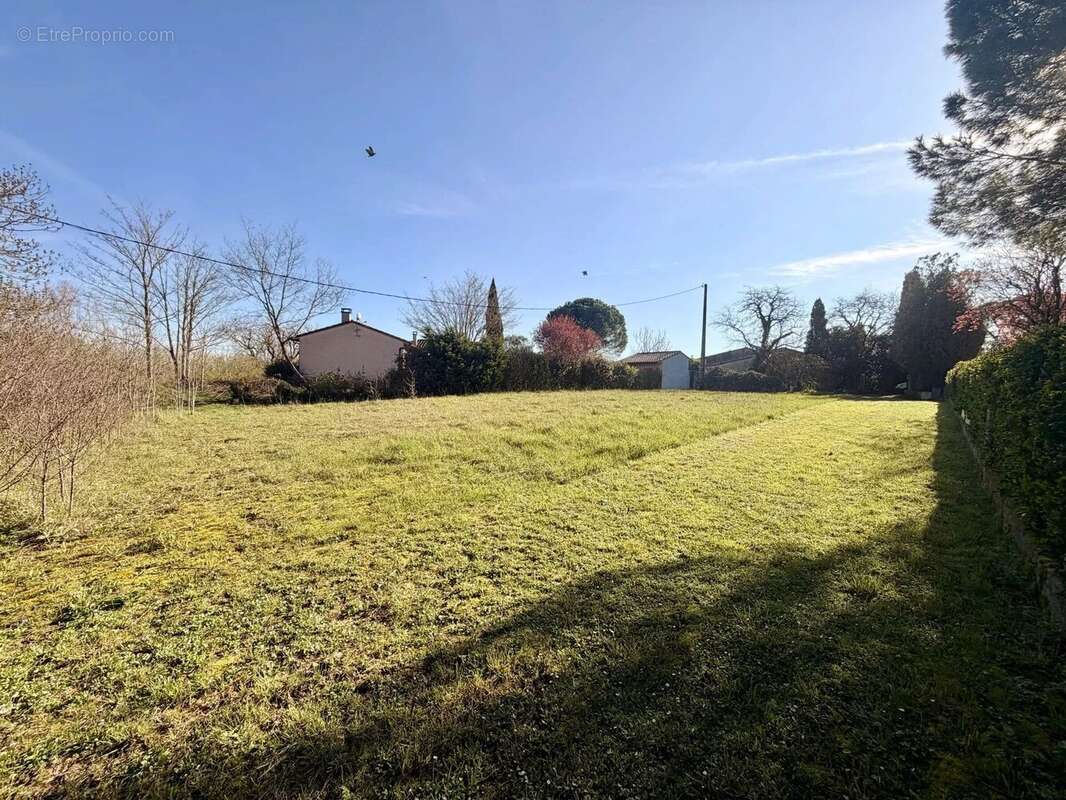 Terrain à VILLEFRANCHE-DE-LAURAGAIS