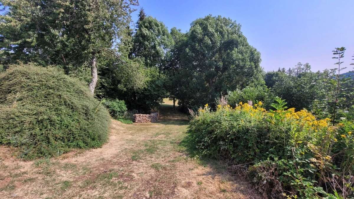 Ancienne ferme à rénover avec dépendances et terrain  - Fay sur Lignon - photo 28