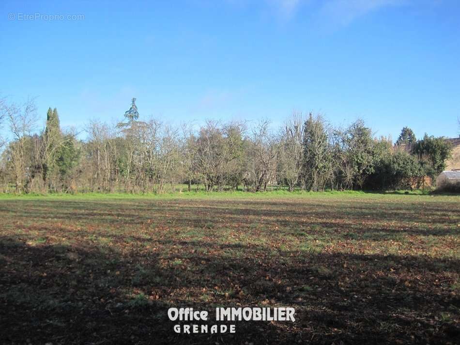 Terrain à LE BURGAUD