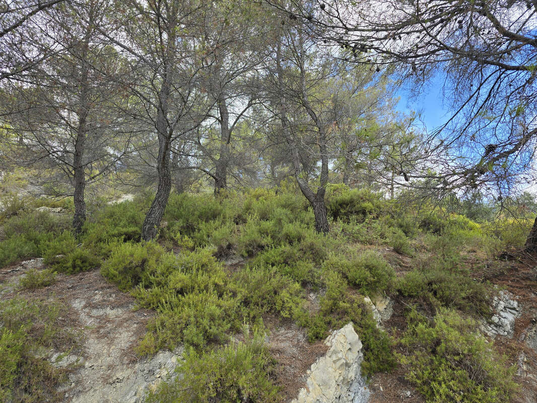 L'escarene - terrain de loisirs 11 440m2 - photo 5