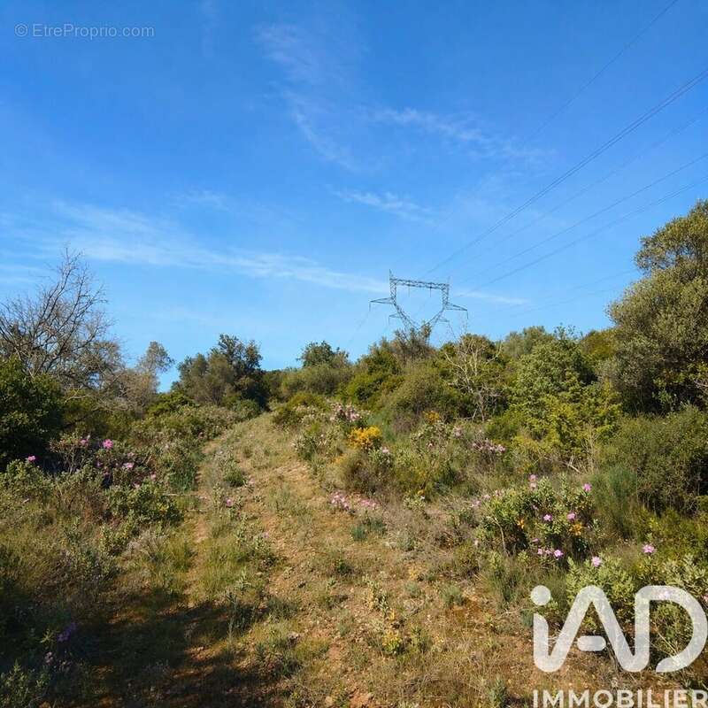 Photo 2 - Terrain à NEFFIES