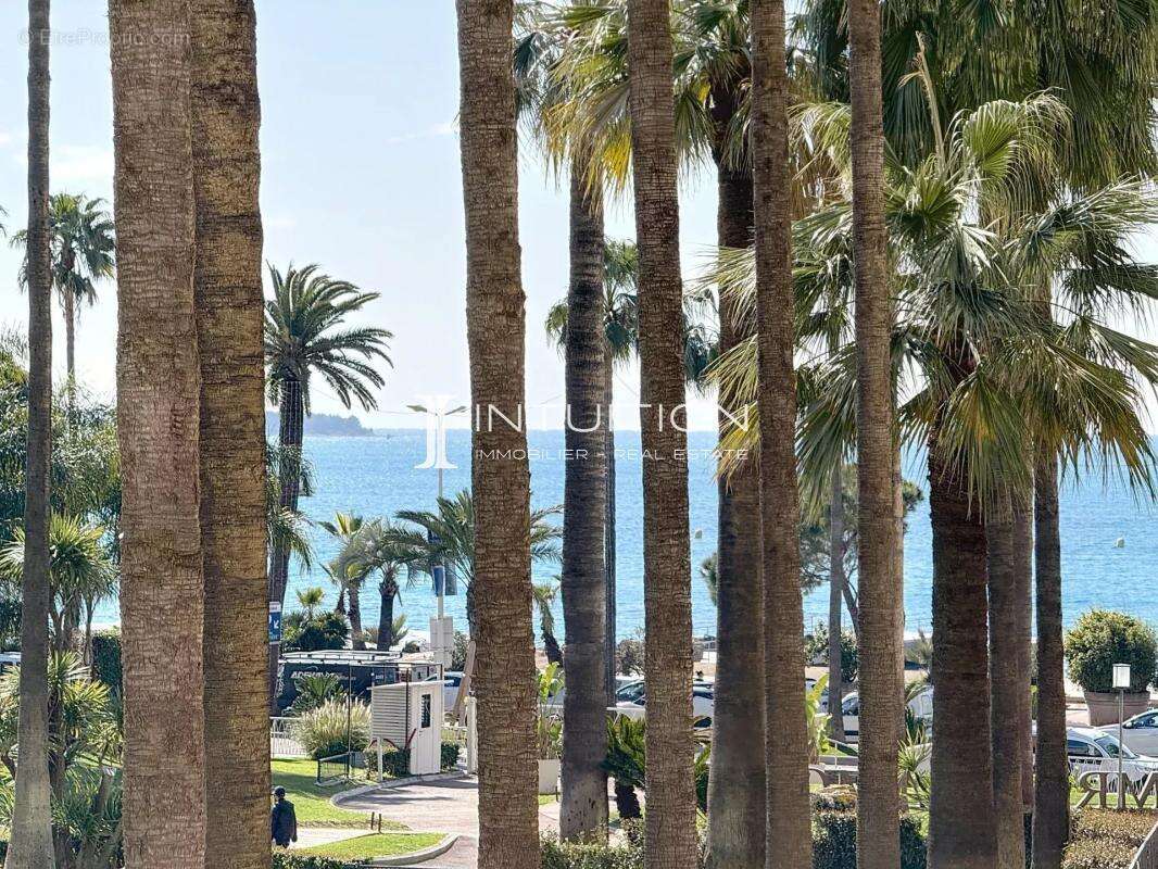 Cannes - Croisette : Magnifique appartement 3 pièces avec vue mer dans une résidence de renom - photo 28