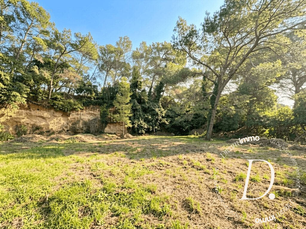 Terrain à SAINT-GILLES