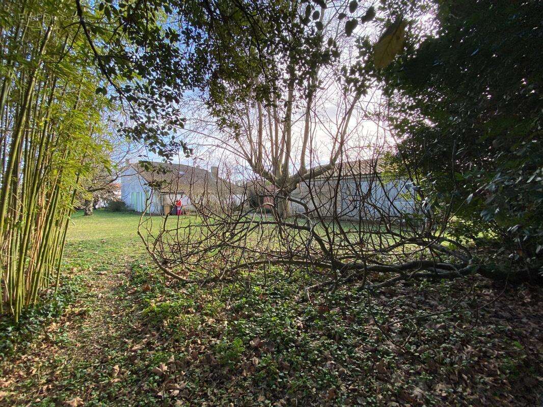 Maison à LES MATHES