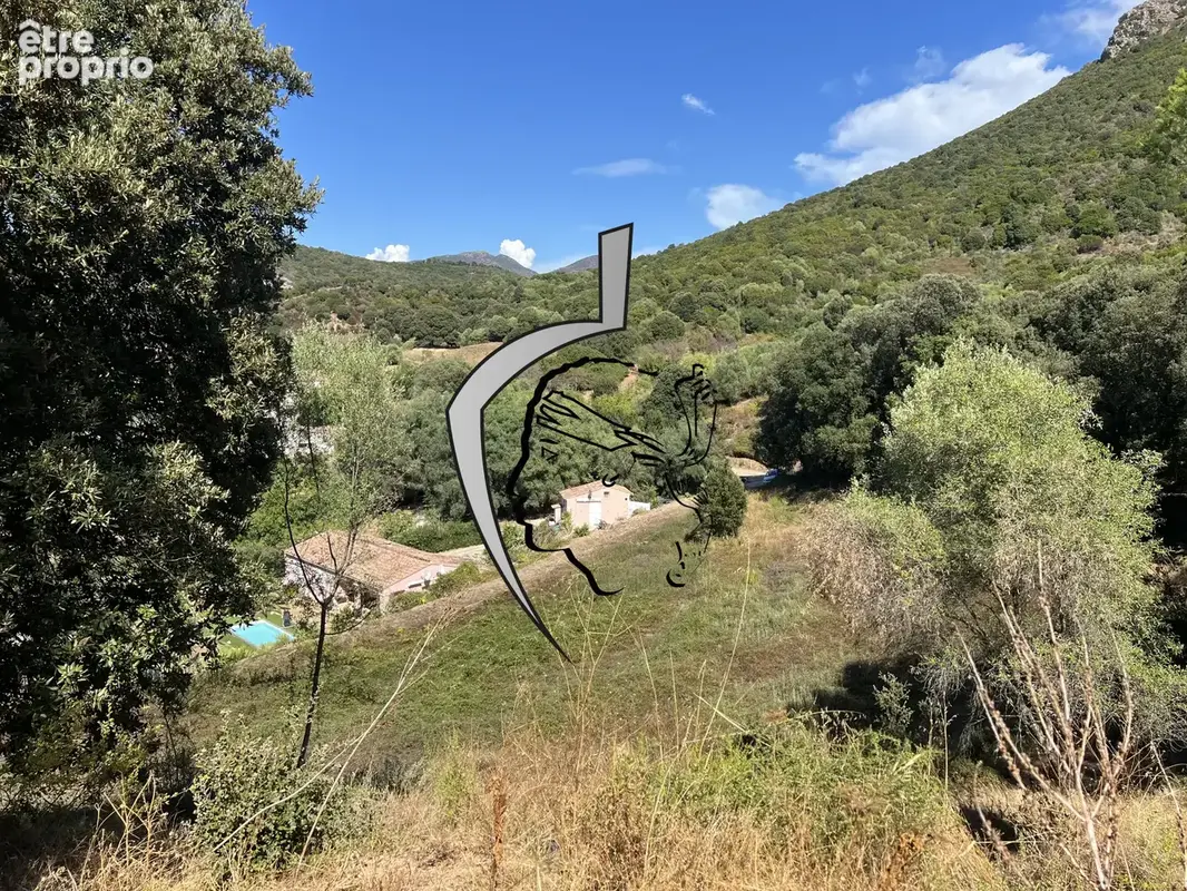 Terrains à bâtir commune d'ALATA- lieu-dit SAN BENEDETTO - photo 6