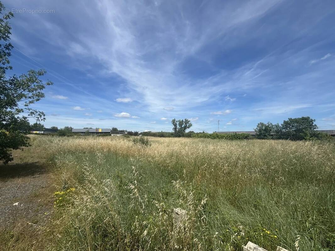 Terrain à ALBI