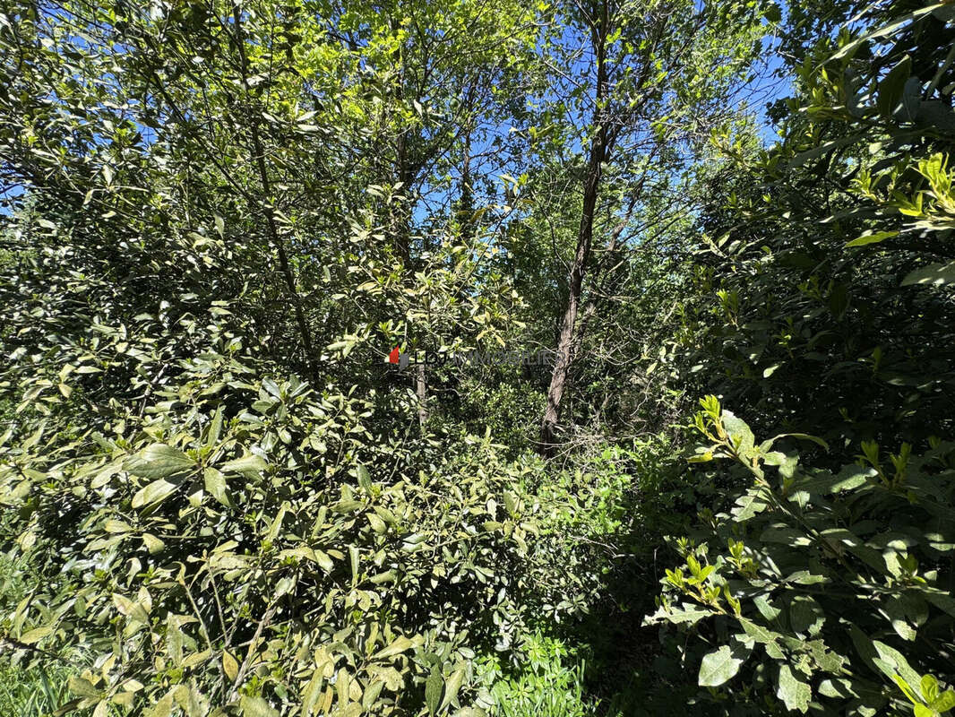 Terrain à PERPIGNAN