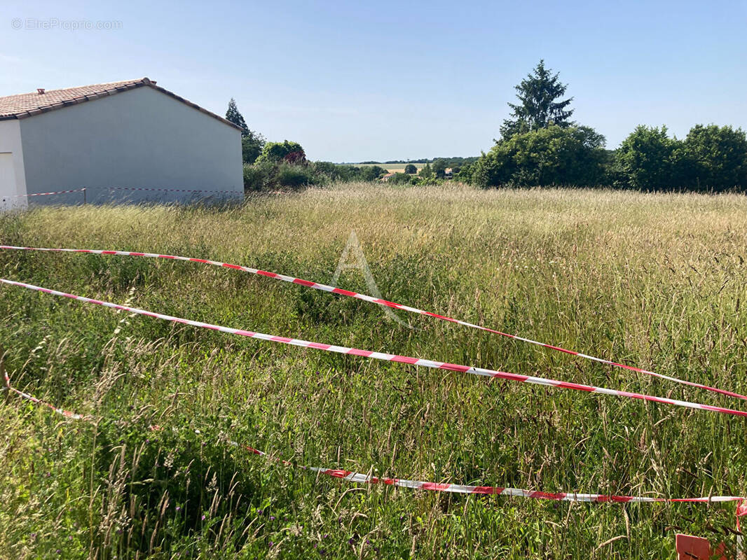 Terrain à SERIGNE