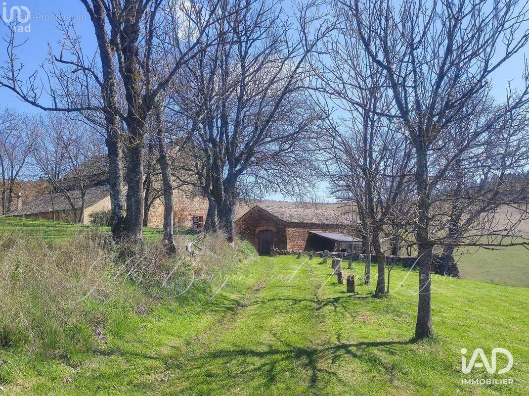 Photo 2 - Maison à FLORAC