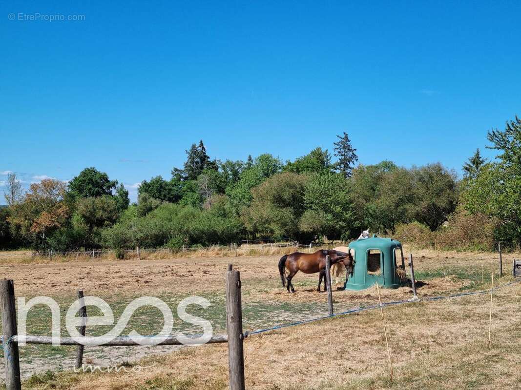 Maison 200 m² à Saint-Agnant-De-Versillat  - photo 17