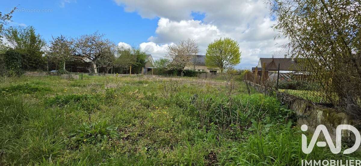 Photo 6 - Terrain à LA VILLE-AUX-DAMES