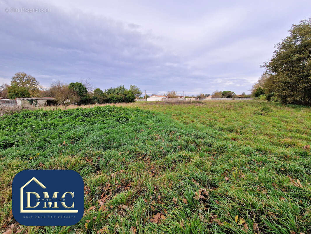 Terrain à CINTEGABELLE