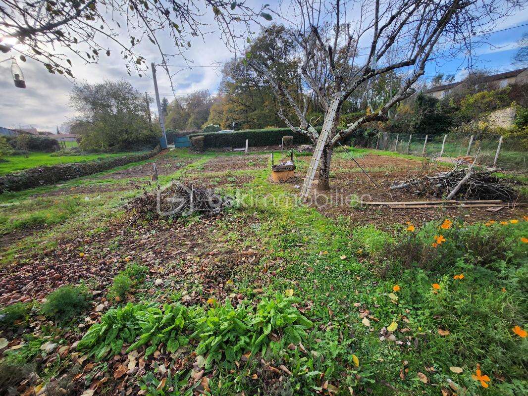 Terrain à JAZENEUIL