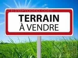 Terrain a bâtir - photo 2