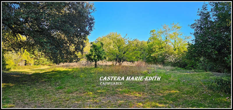 Propriété - Château Gascon Historique  - Terres agricoles, proche de AUCH (32) - photo 37
