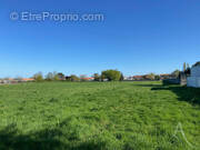 Terrain à CHAVAGNES-EN-PAILLERS