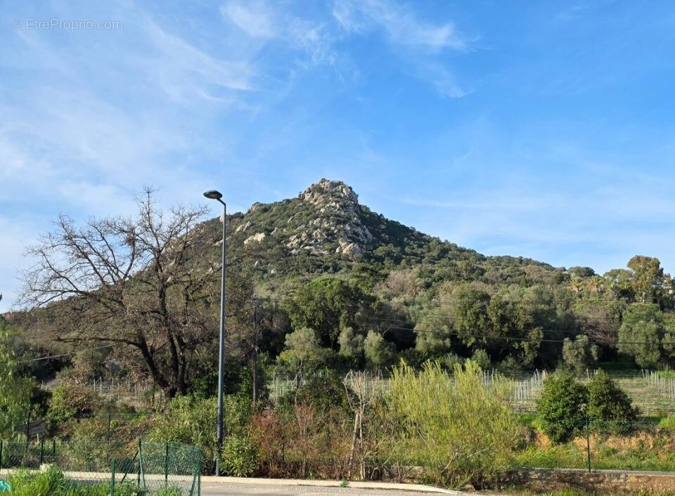Terrain à HYERES