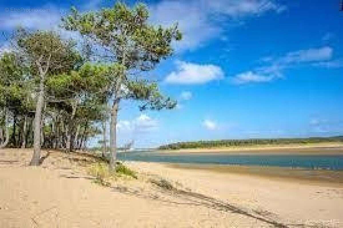 Photo 3 - Maison à TALMONT-SAINT-HILAIRE