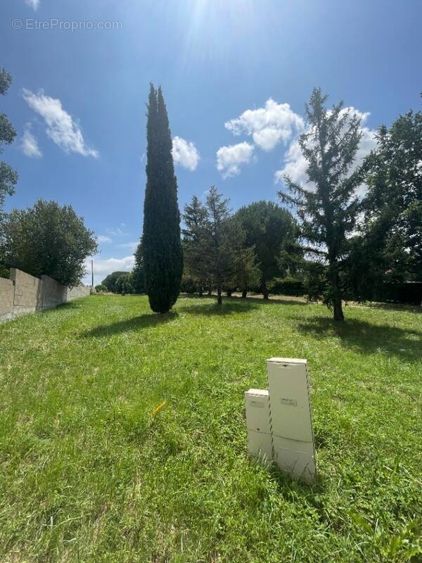 Terrain à AYGUESVIVES