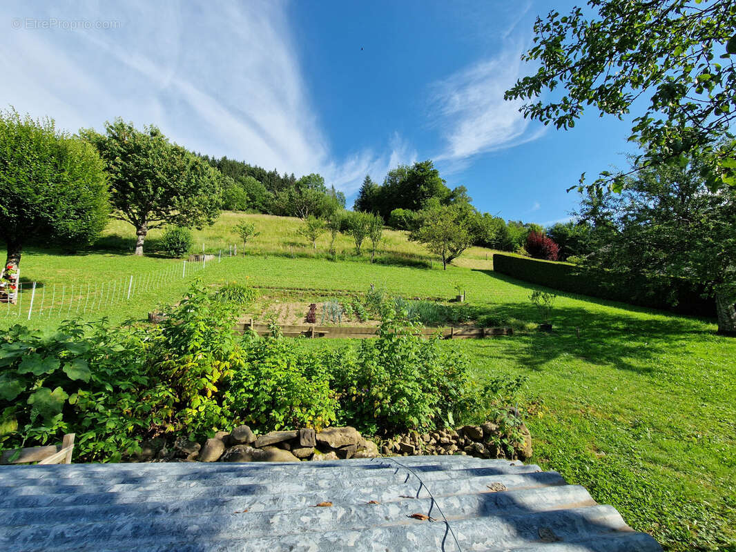 Terrain à THONES