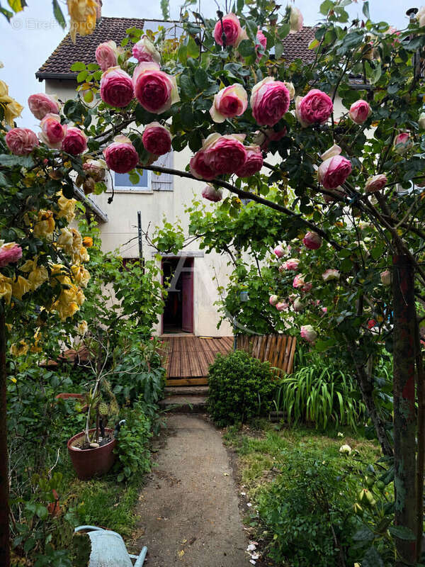 Maison à LE MANS