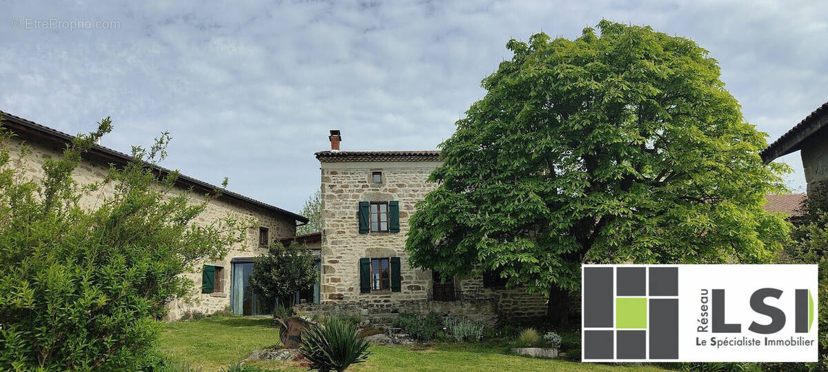 FACADE ET TERRASSE - MARONNIER - Maison à SAINT-DIER-D'AUVERGNE