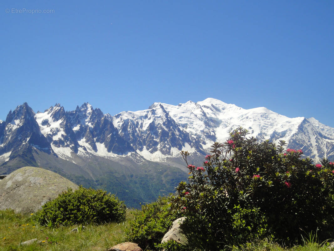 Autre à CHAMONIX-MONT-BLANC