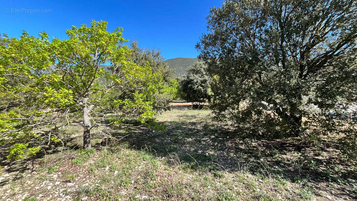 Photo 2 - Terrain à RUSTREL