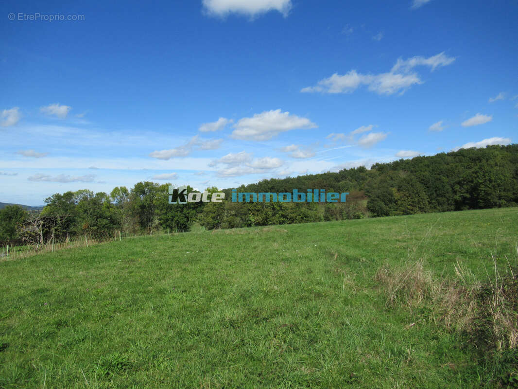 Terrain constructible - photo 4