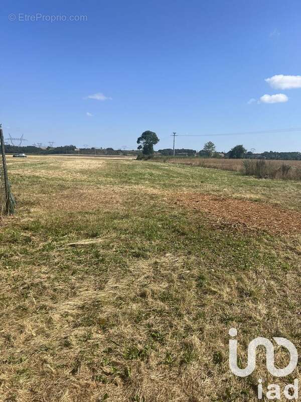 Photo 2 - Maison à SAINT-PIERRE-DE-CHANDIEU
