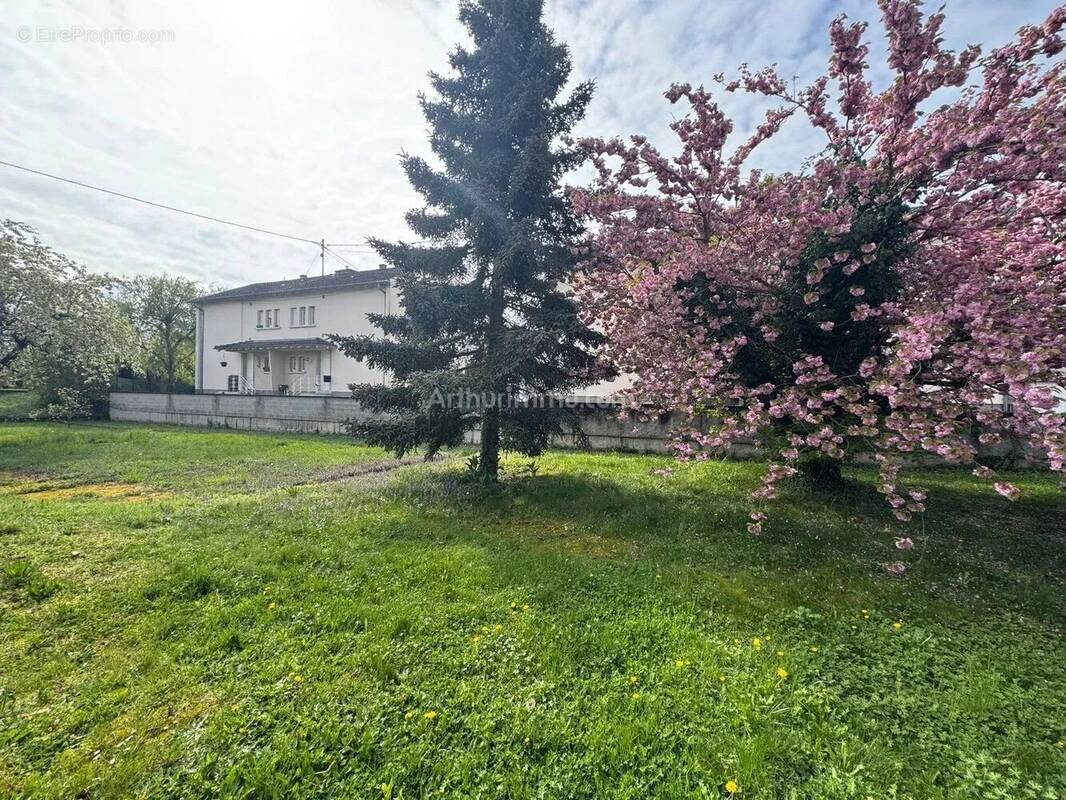 Terrain à MARCKOLSHEIM