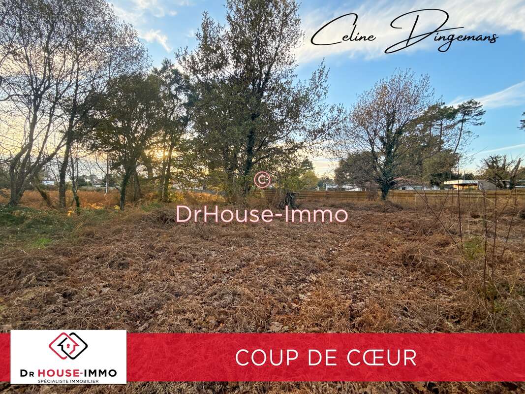 Terrain à MESSANGES