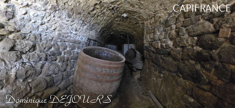 Maison à SAINT-MAURICE-EN-CHALENCON