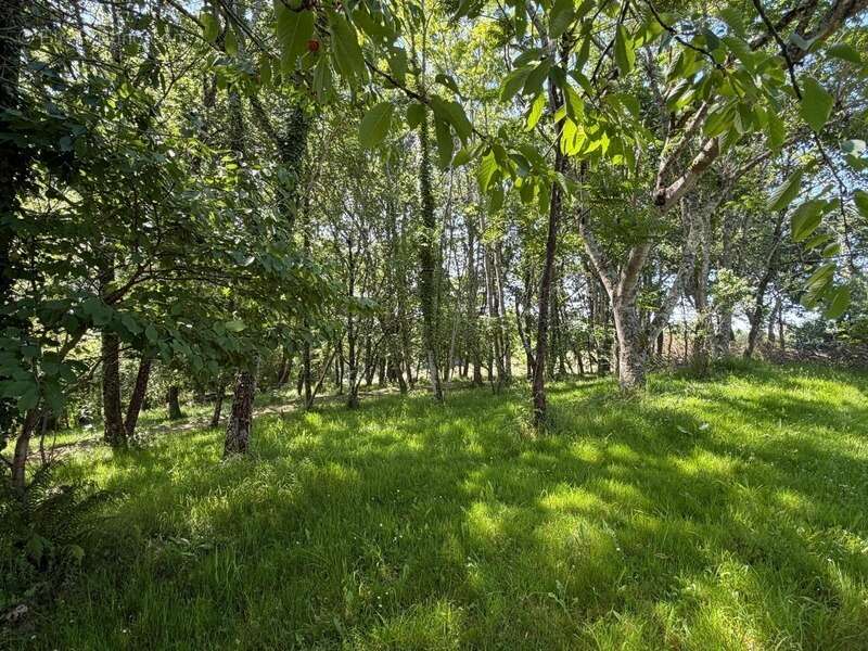 Nogaro(32) 7 km, ANCIENNE METAIRIE GASCONNE 280m2 dont 160m2 habtiables sur 4.5ha, au bout d'un long chemin, CACHEE, SANS VIS A  - photo 10