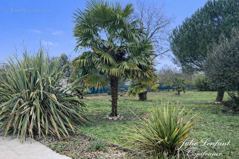 Maison à SAINT-DENIS-EN-VAL