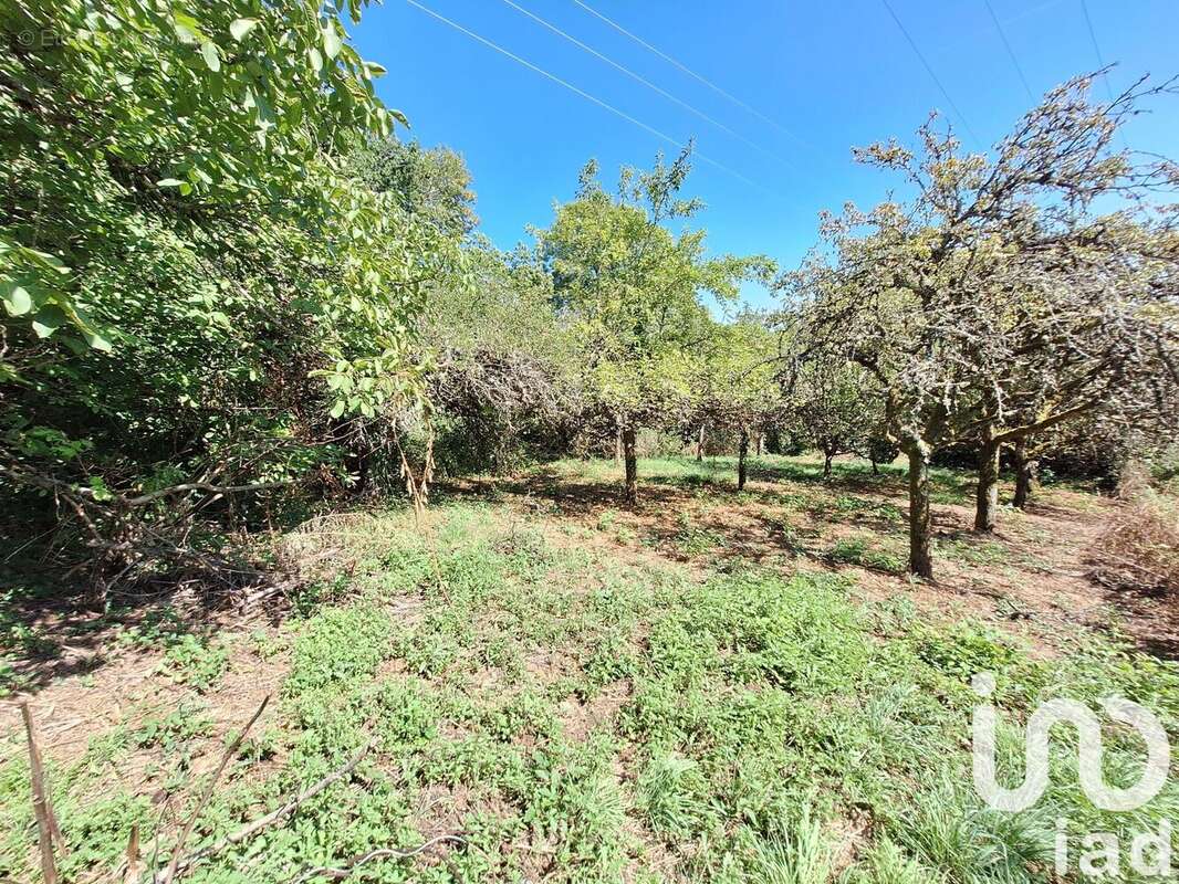 Photo 5 - Terrain à CRANDELLES