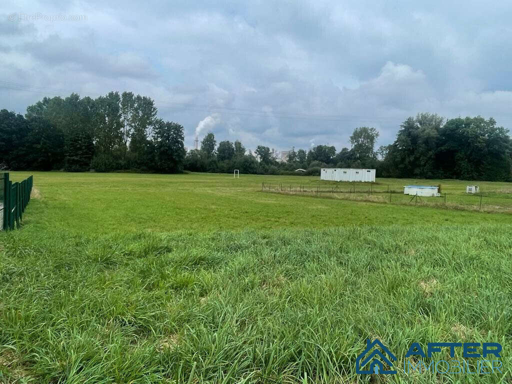 Terrain à SAINT-GORGON