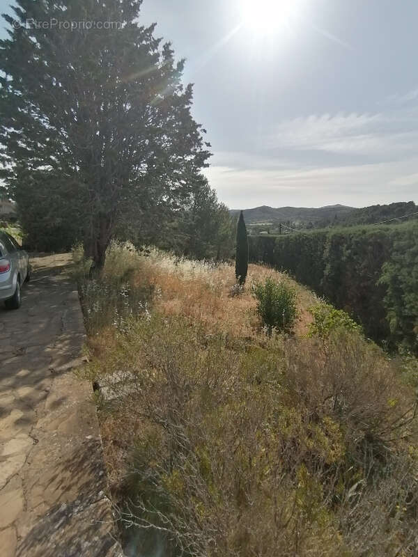 Villa PP 125 m2 3 chambres garage terrain de 2100 m2 à Durban Corbières - photo 3