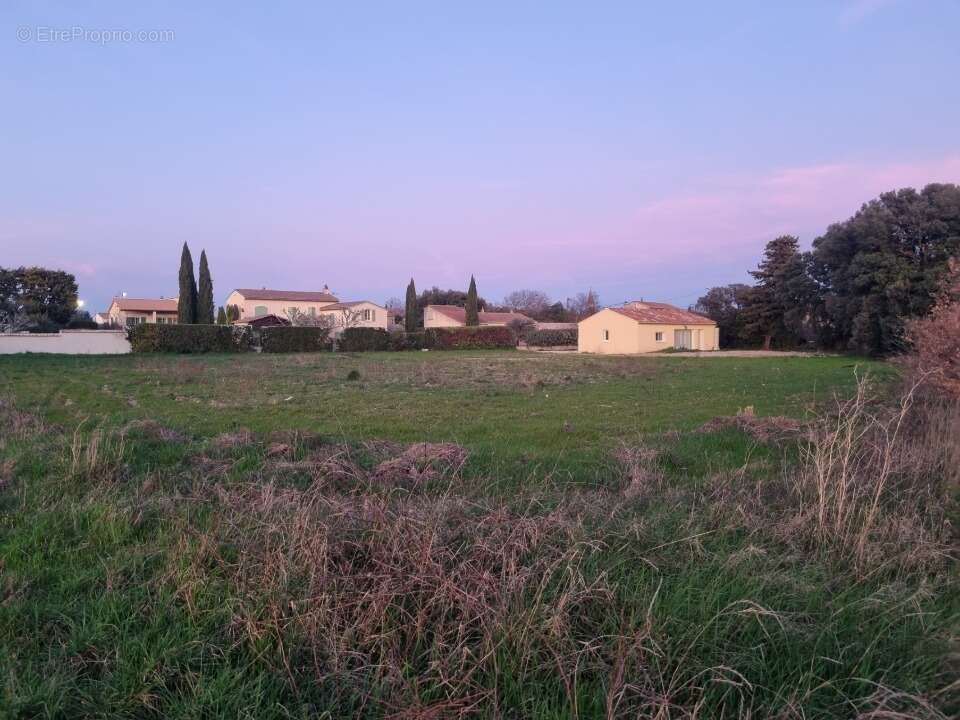 Terrain à MONTSEGUR-SUR-LAUZON