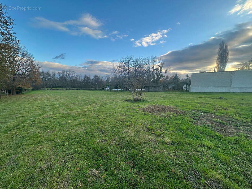 Terrain à LA GUERCHE-SUR-L&#039;AUBOIS