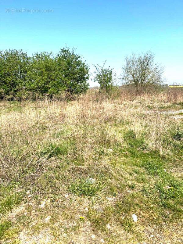 Terrain à MAREST-DAMPCOURT