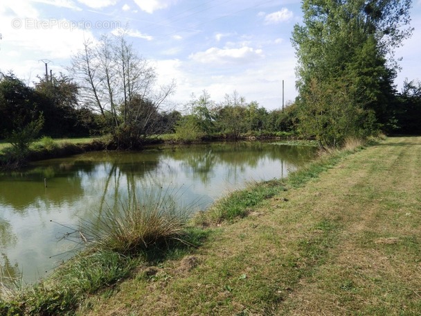 Terrain à VILLEREAU