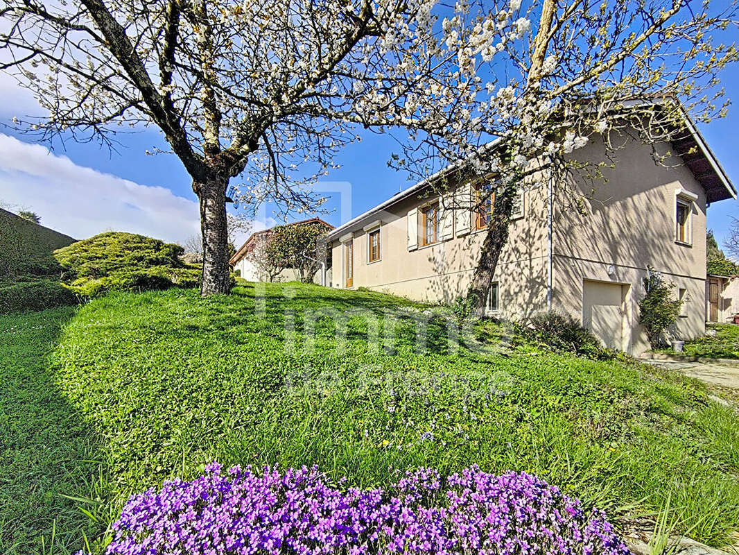 Maison à MEXIMIEUX