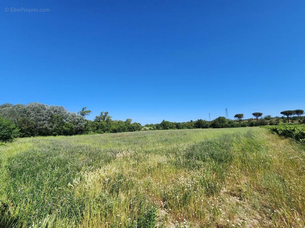 Terrain à TREBES