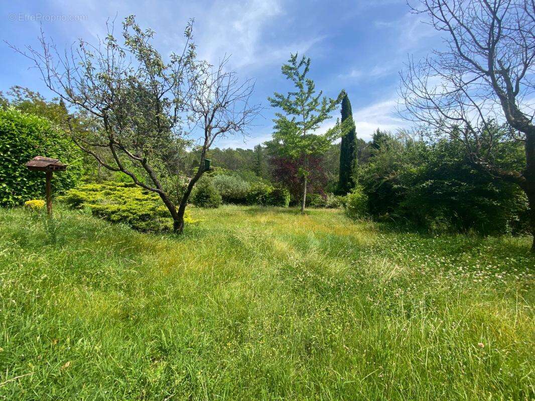 Terrain à VILLECROZE